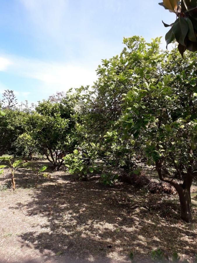 Casa Agrumeto 斯特龙博利 外观 照片